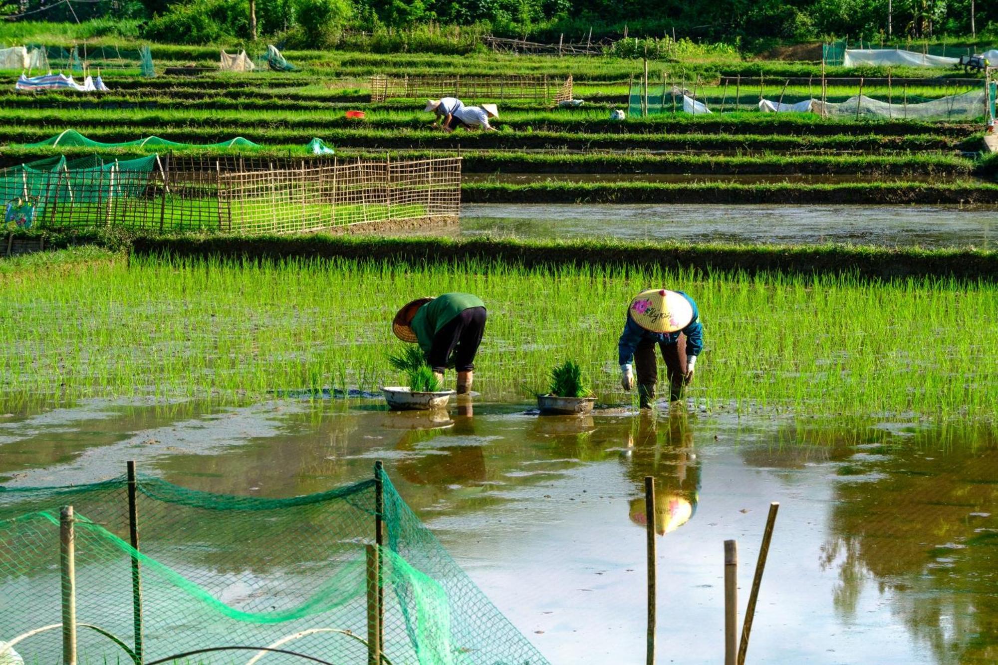 Nha Tan - Mai Chau Homestay And Tours Экстерьер фото